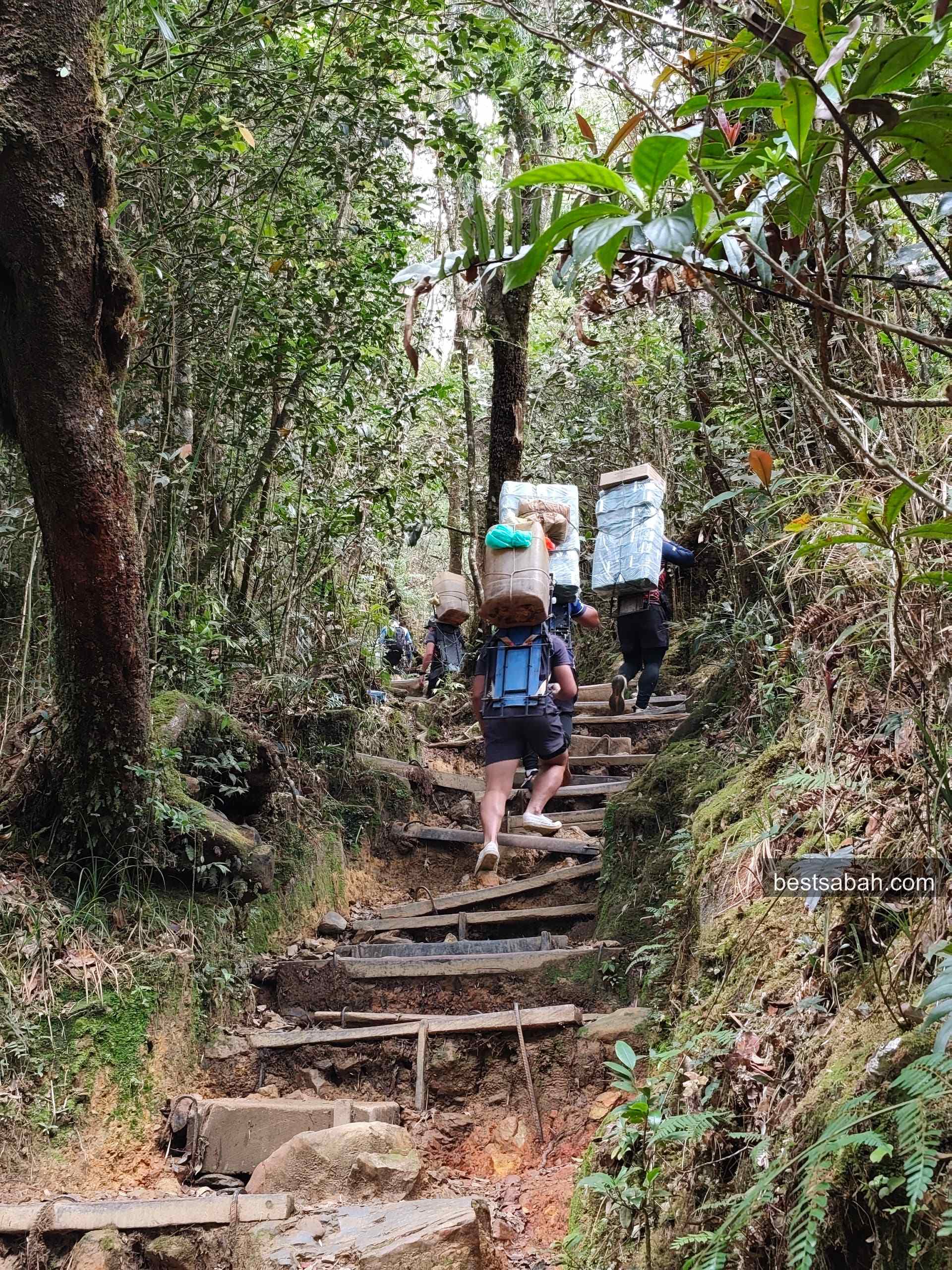 Porters carrying loads up the wooden staircase trail on Mount Kinabalu