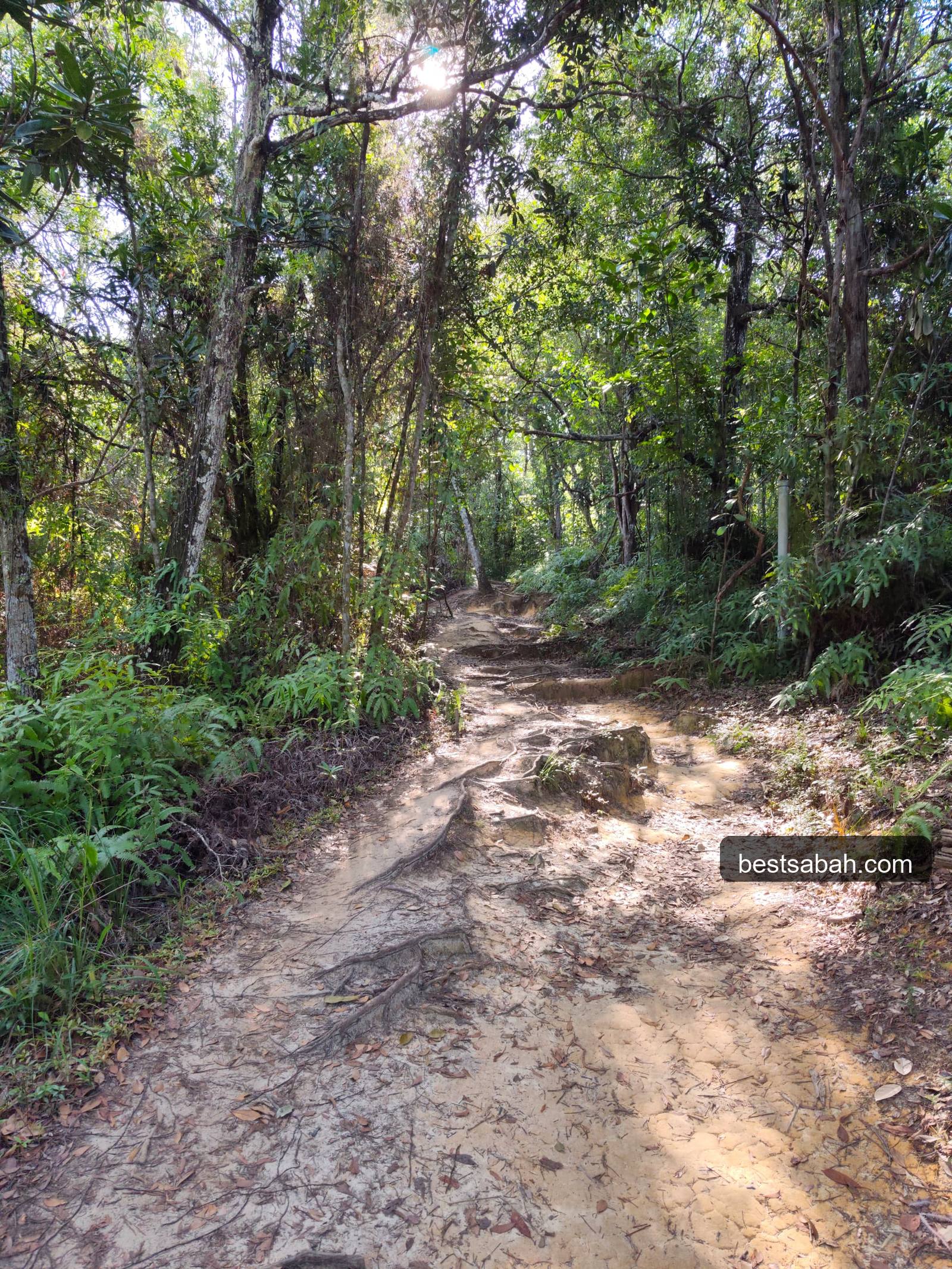 Start of the Bukit Padang hiking trail through the forest KK