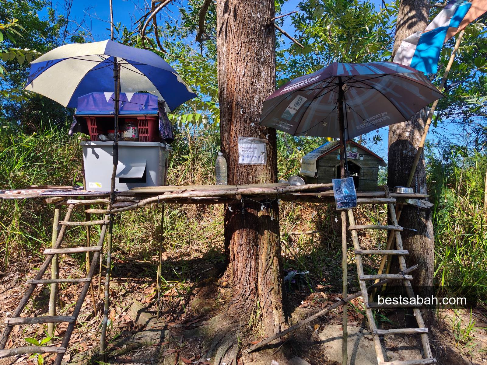 Cat houses built on wooden tree platforms along the Bukit Padang hiking trail KK