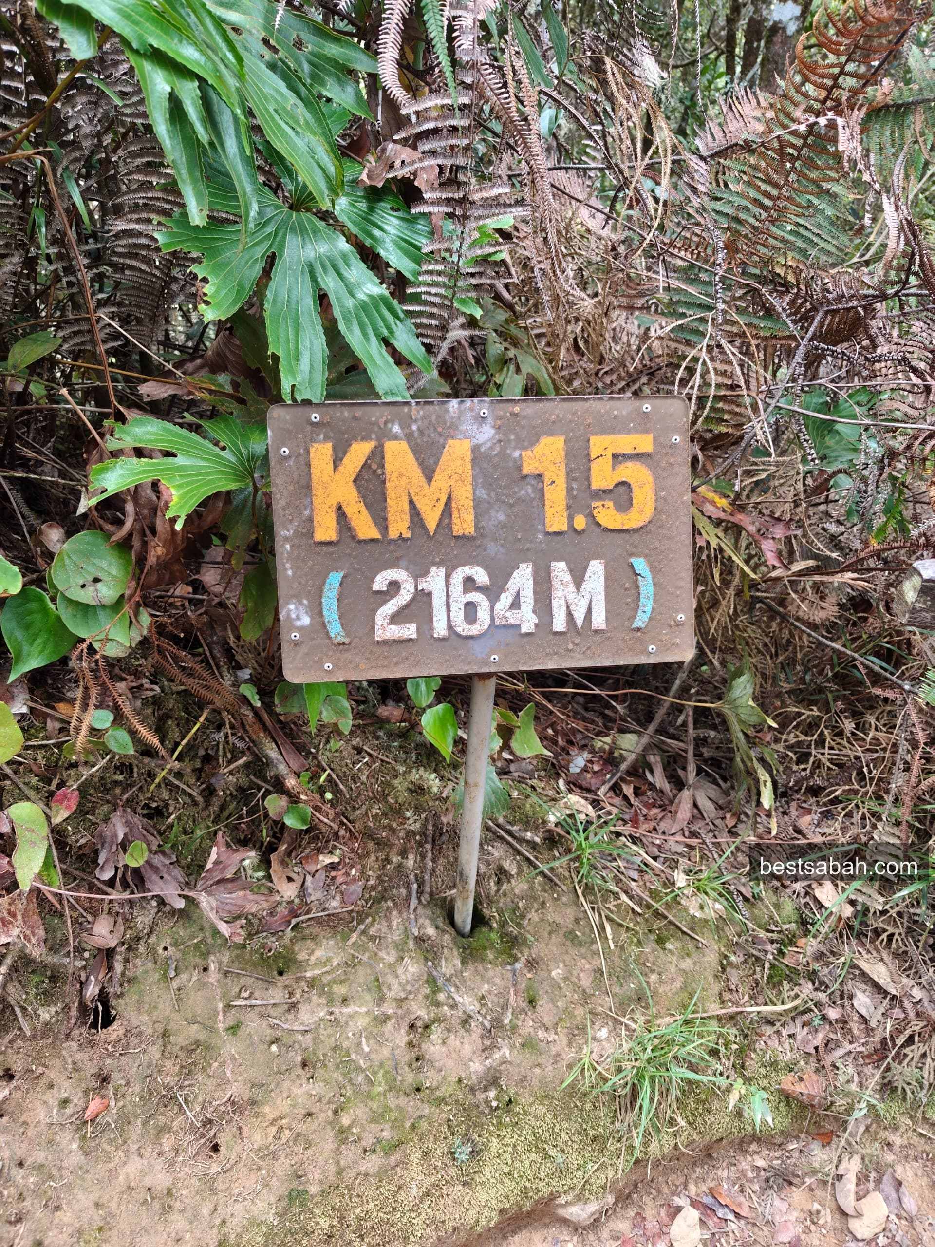 KM 1.5 distance marker sign on Mount Kinabalu trail at 2,164m elevation