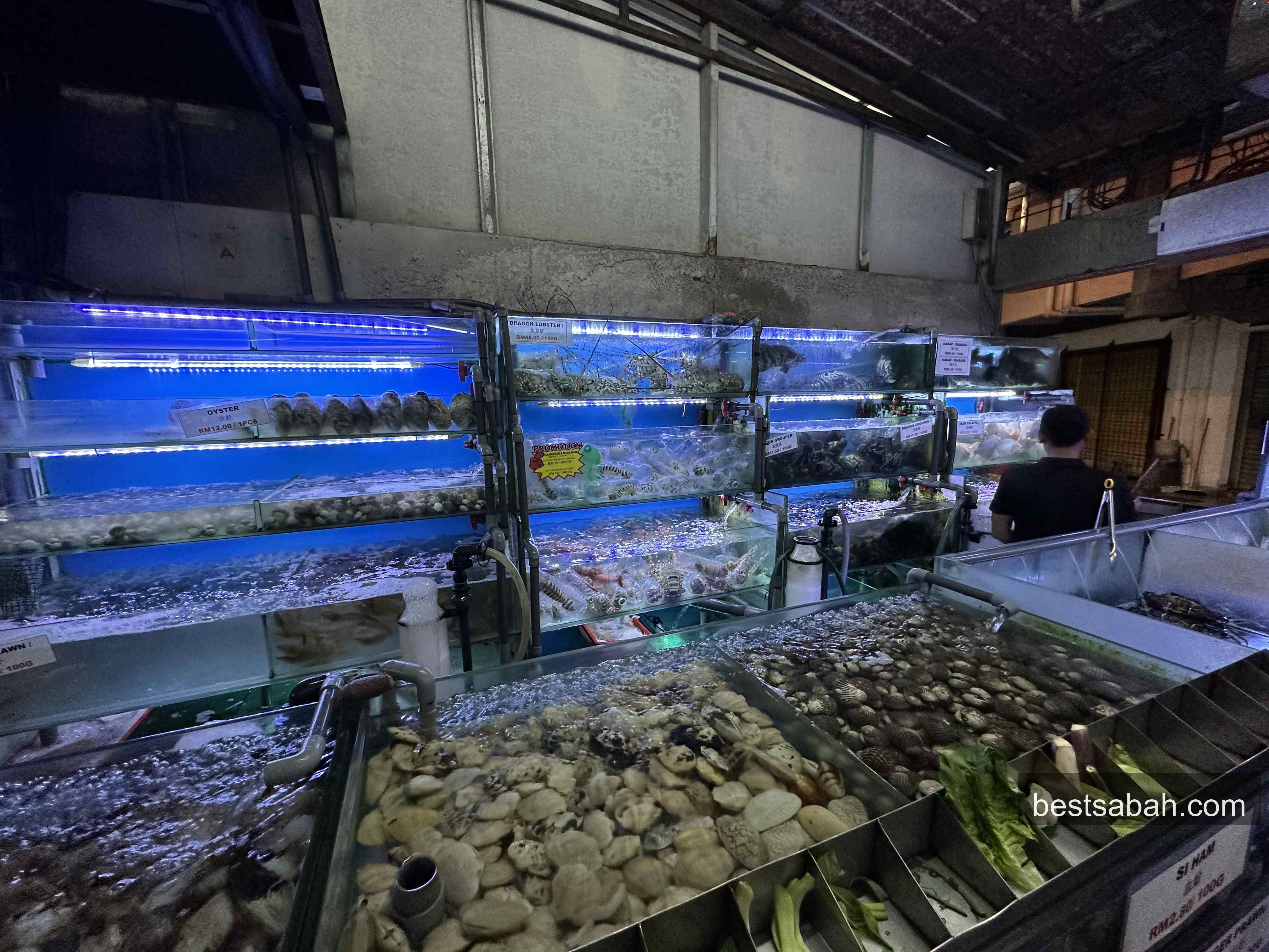 Live seafood tanks at Sasa Seafood Restaurant with crabs, clams and shellfish in Penampang
